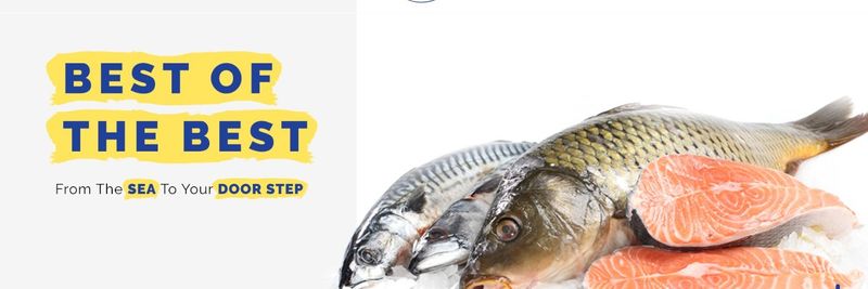 Mcconnell Seafoods Ltd. - supplier and manufacturer from 영국
