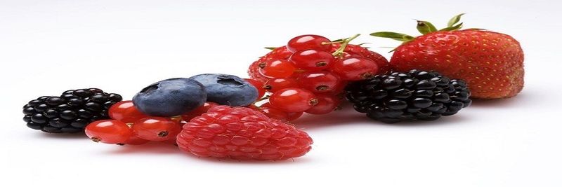Special Fruit Producciones SL - supplier and manufacturer from Spain