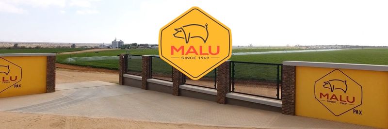 Malu Pork - supplier and manufacturer from 남아프리카공화국
