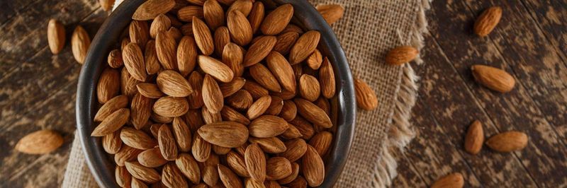 Select Harvest USA - supplier and manufacturer from 미국