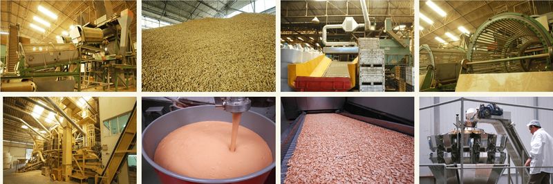 J&G Pecans Ltd - supplier and manufacturer from Israel