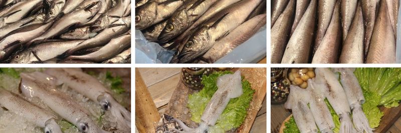 Da Yang Seafood Inc. - supplier and manufacturer from 미국