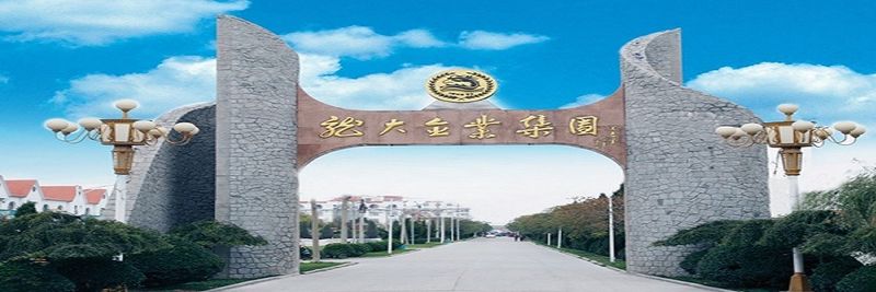 Shandong Longda Foodstuffs Co., Ltd. - supplier and manufacturer from 중국