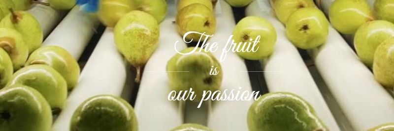 Cooperfrutas, CRL - supplier and manufacturer from 포르투갈