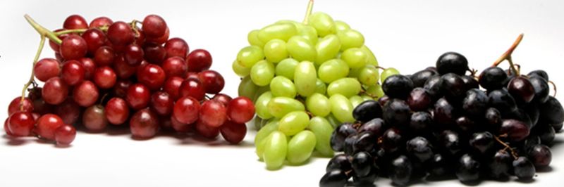 DIVINE FLAVOR - supplier and manufacturer from 미국