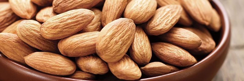 Wholesome Nut Company - supplier and manufacturer from 미국