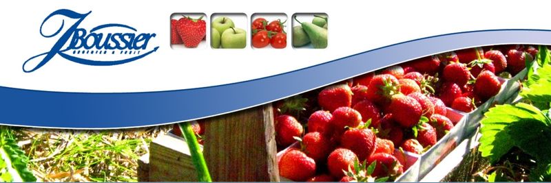 Belfrutex - supplier and manufacturer from Belgium