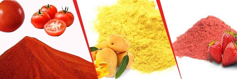 Zain Fresh Agro Limited - supplier and manufacturer from 인도
