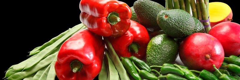 Verduras Marcafruit S.L. - supplier and manufacturer from 스페인