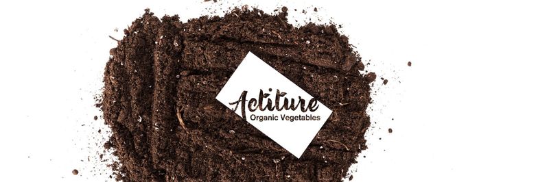 Actiture - supplier and manufacturer from 스페인