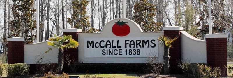 McCall Farms, Inc. - supplier and manufacturer from 미국