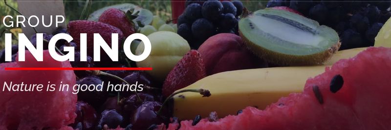 Ingino - supplier and manufacturer from Italy