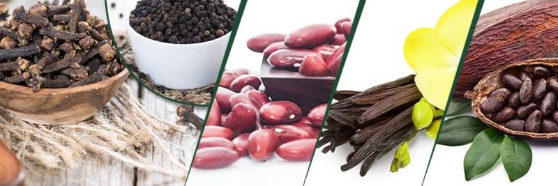 SUPER AFRICA PRODUCTS - supplier and manufacturer from 마다가스카르