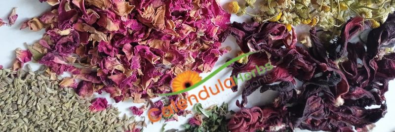 Calendula Herbs For Import & Export - supplier and manufacturer from Egypt