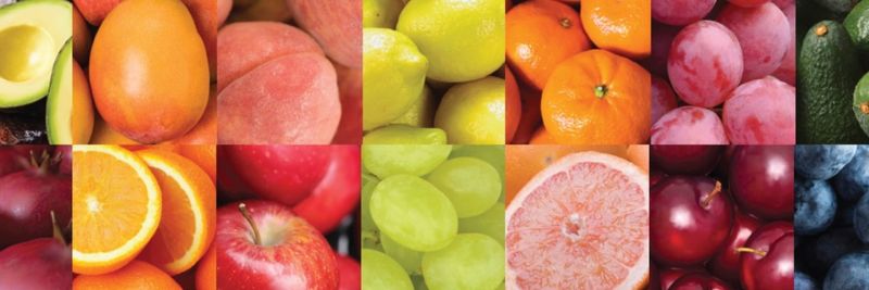 Westfalia Fruit - supplier and manufacturer from 프랑스