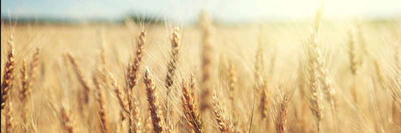 BÖCKER FRANCE - supplier and manufacturer from 프랑스