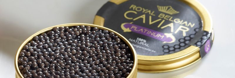 Royal Belgian Caviar - supplier and manufacturer from Belgium