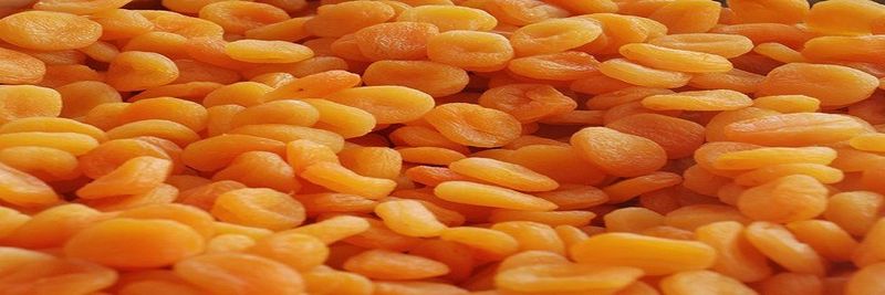 Goldenfood - supplier and manufacturer from 튀르키예
