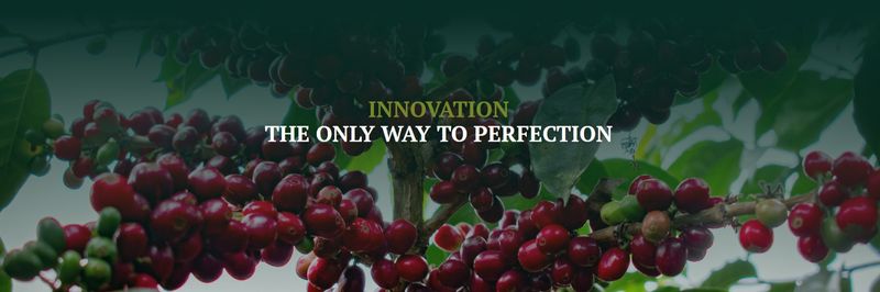 Latorre & Dutch Coffee Traders Pty Ltd. - supplier and manufacturer from 호주