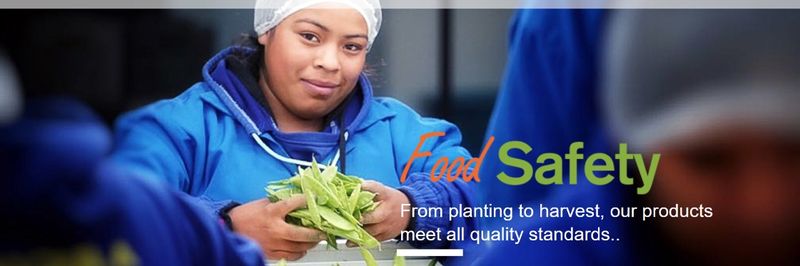 Pakil Awal - supplier and manufacturer from 과테말라