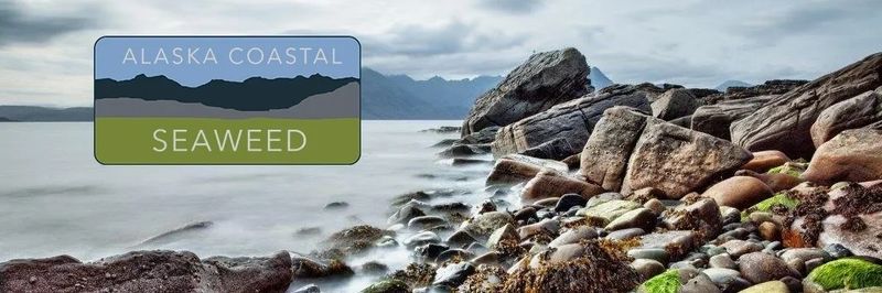 Alaska Coastal Seaweed - supplier and manufacturer from 미국