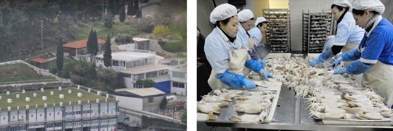 TOURNAVITIS SA - supplier and manufacturer from 그리스