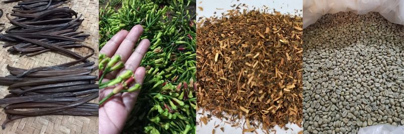 Kembang Vanila Utama - Verified supplier and manufacturer from Indonesia