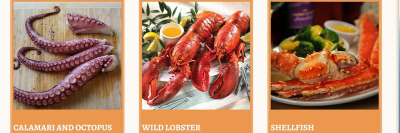Ed’s Kasilof Seafoods - supplier and manufacturer from 미국