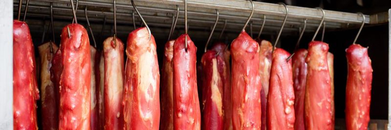 Greifen-Fleisch GmbH - supplier and manufacturer from 독일