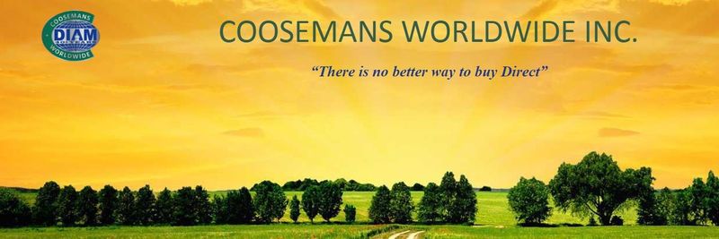 Coosemans Import Export - supplier and manufacturer from 벨기에