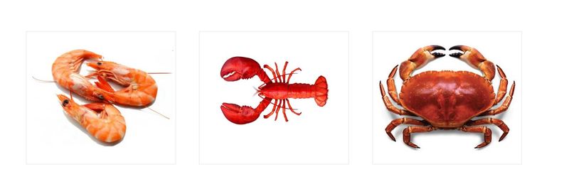 LlamiGh Ghana Limited - supplier and manufacturer from 가나