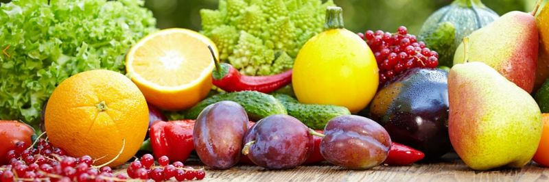 Ahi Guven Canned & Frozen Food Co. - supplier and manufacturer from 튀르키예