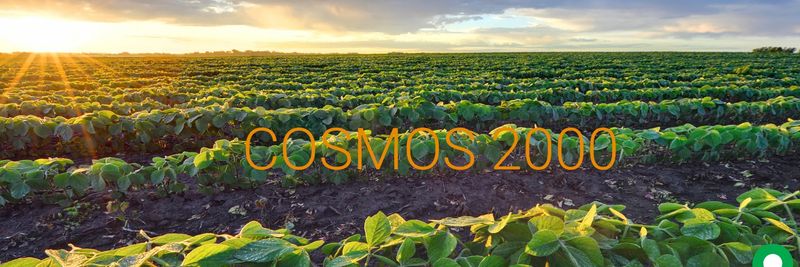 Cosmos 2000 Internacional S A - supplier and manufacturer from 도미니카공화국