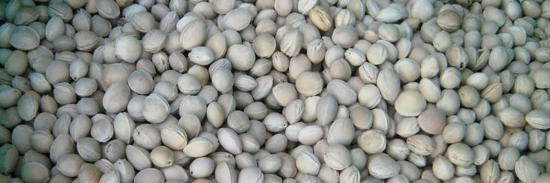 Brow Farm Ltd - supplier and manufacturer from 영국