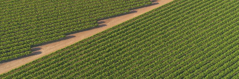 Grape Co Australia Pty Ltd - Verified supplier and manufacturer from 호주