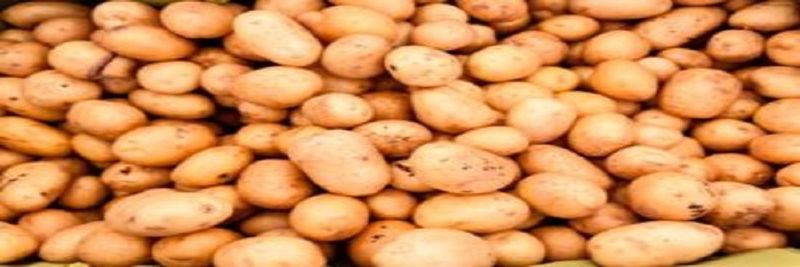 Cuellarana de Patatas SL - supplier and manufacturer from 스페인