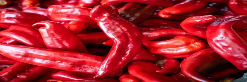Hatch Green Chile - supplier and manufacturer from 미국