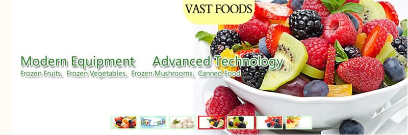 FENGCHENG PRECISE FOOD CO.,LTD "Vast Foods" - supplier and manufacturer from 중국