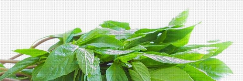 PWK ELITE PERFECTION GROUP CO.,LTD. - supplier and manufacturer from 태국