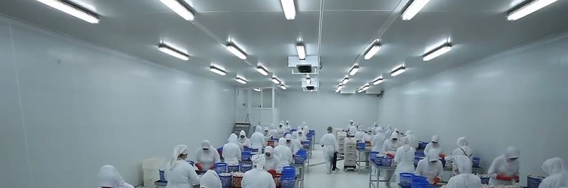 Global Frozen Chicken - supplier and manufacturer from 브라질