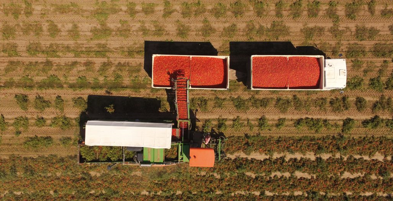 Agrofusion - Verified supplier and manufacturer from 우크라이나