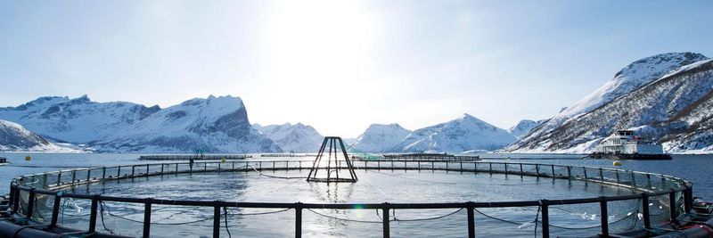 SEKKINGSTAD AS - supplier and manufacturer from 노르웨이