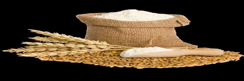 INDRAPRASTH FOODS LTD. - supplier and manufacturer from 인도