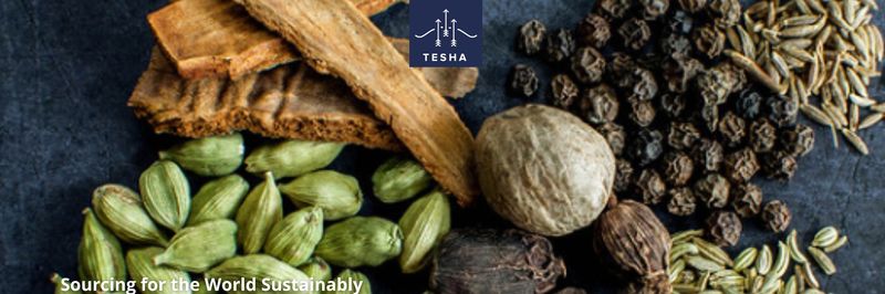 Tesha Group - supplier and manufacturer from 싱가포르