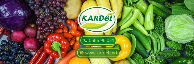 Kardel - supplier and manufacturer from 몰도바