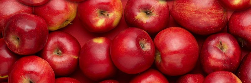 Jinxiang Grand Agricultural Co. Ltd - supplier and manufacturer from China