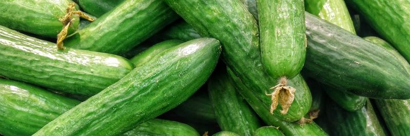 Sechler's Pickles, Inc. - supplier and manufacturer from 미국