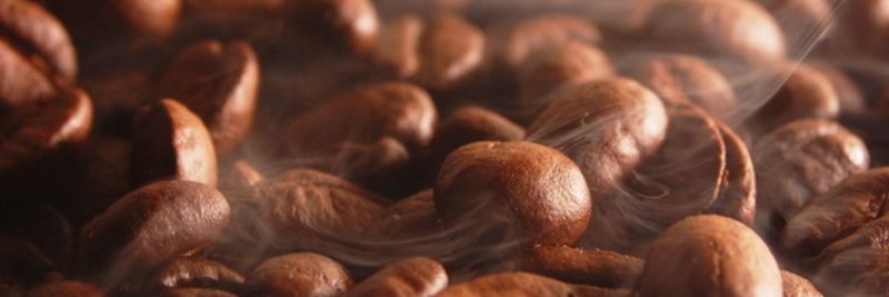 Cafe Du Rwanda (CAFERWA) - supplier and manufacturer from 르완다
