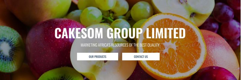 Cakesom Group Limited - supplier and manufacturer from 케냐