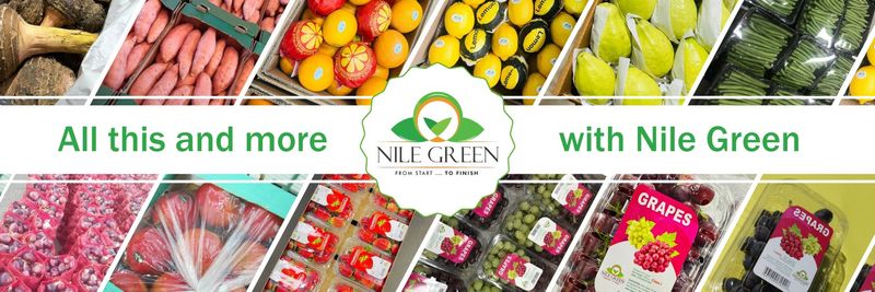 NILE GREEN - Verified supplier and manufacturer from 이집트